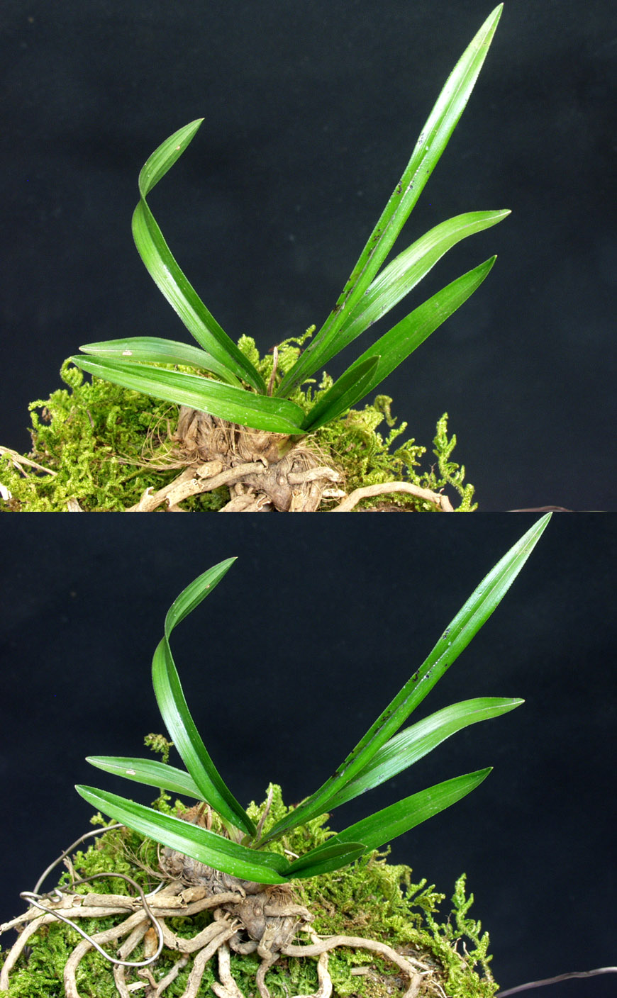 ������ ū������ �� �� �ֽ��ϴ�.