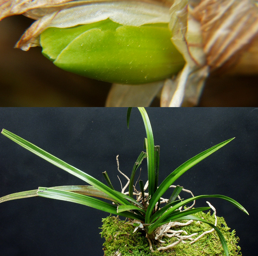 ������ ū������ �� �� �ֽ��ϴ�.