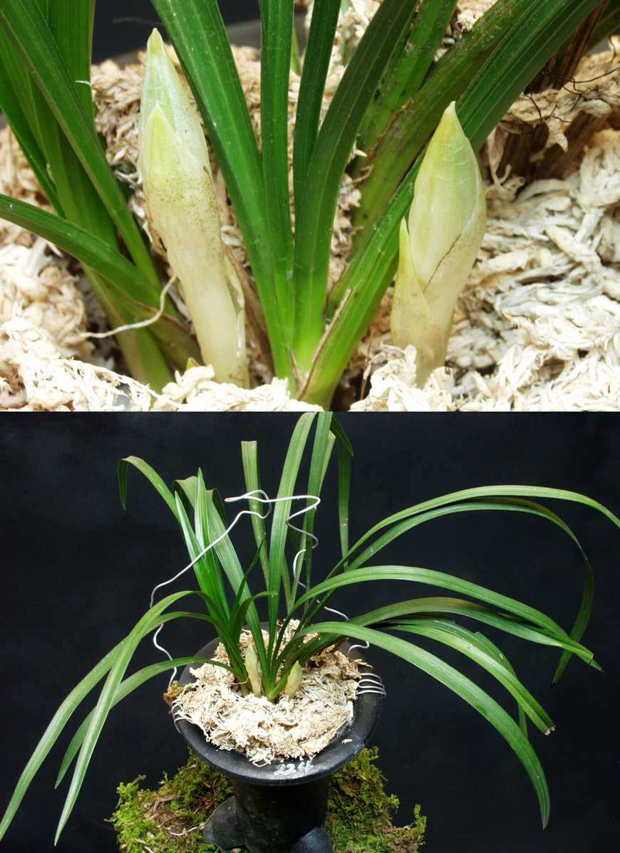 ������ ū������ �� �� �ֽ��ϴ�.