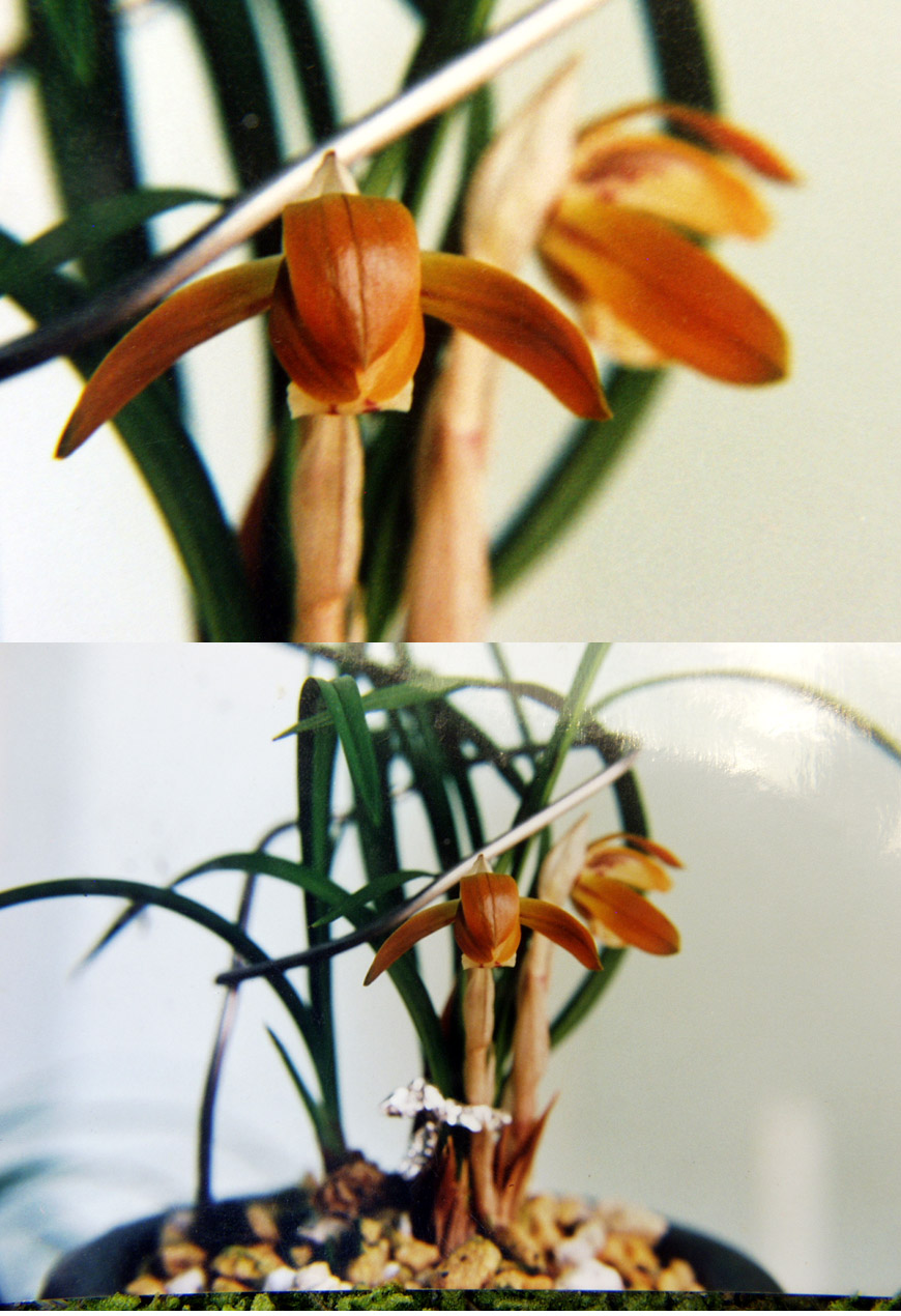 ������ ū������ �� �� �ֽ��ϴ�.