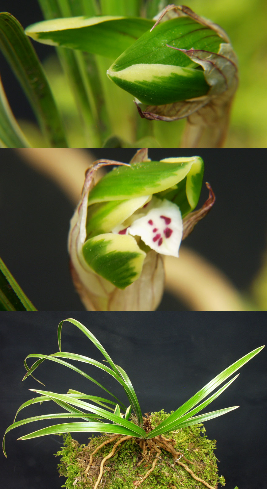 ������ ū������ �� �� �ֽ��ϴ�.