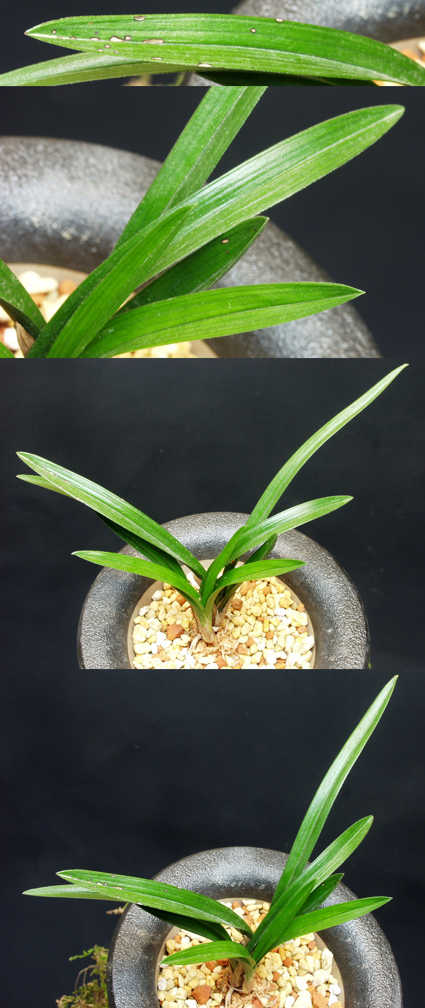 ������ ū������ �� �� �ֽ��ϴ�.