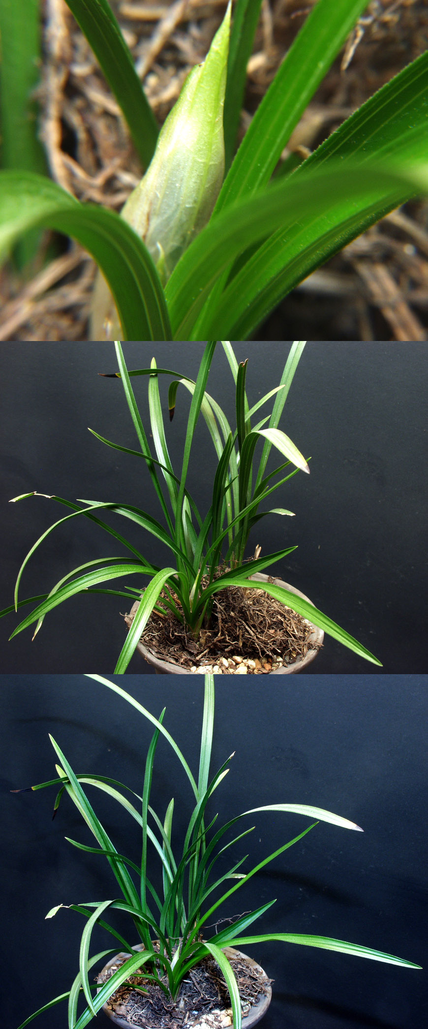 ������ ū������ �� �� �ֽ��ϴ�.