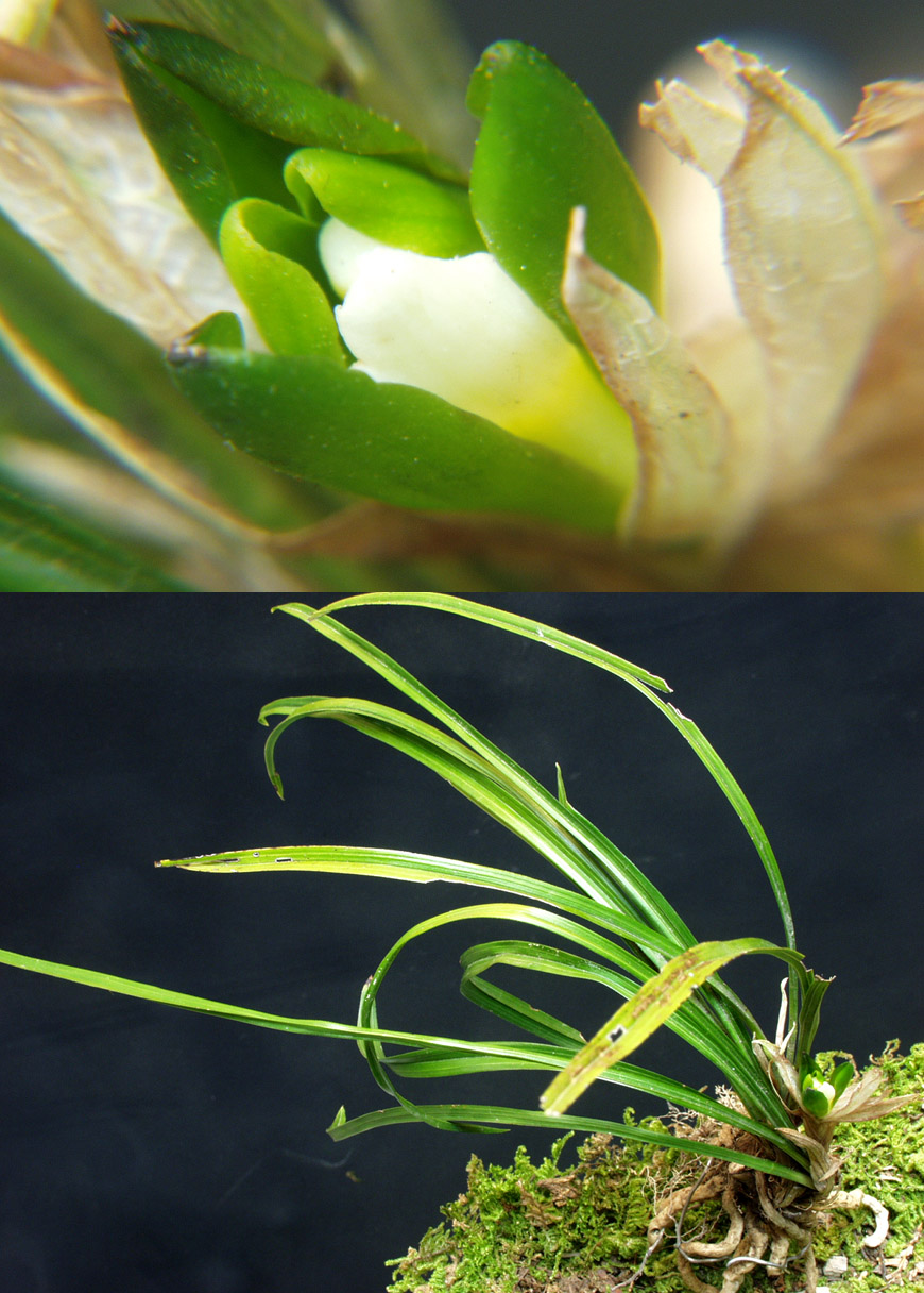 ������ ū������ �� �� �ֽ��ϴ�.