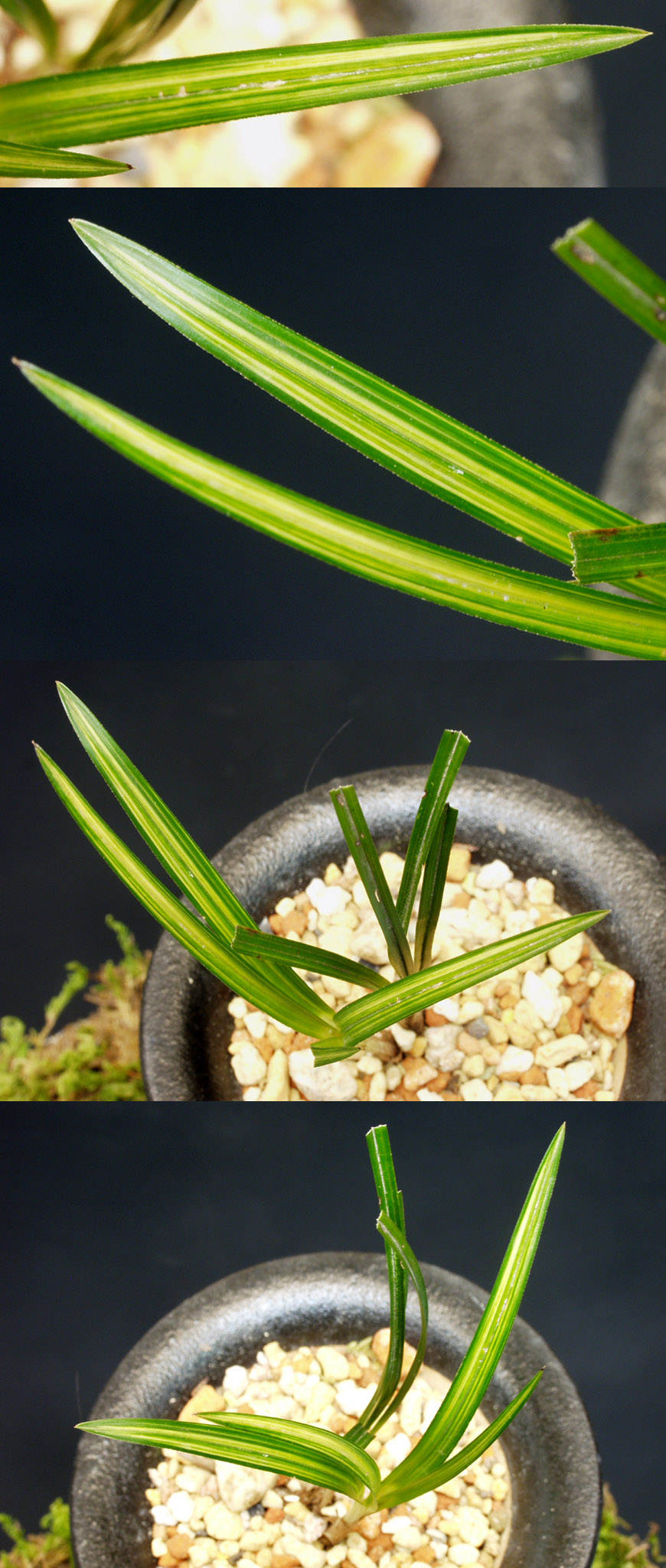 ������ ū������ �� �� �ֽ��ϴ�.