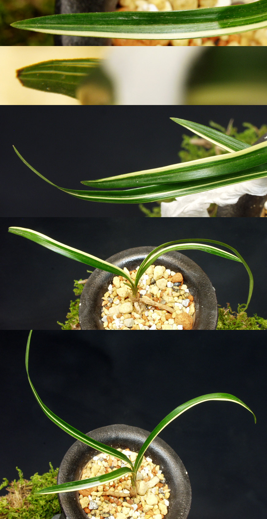 ������ ū������ �� �� �ֽ��ϴ�.