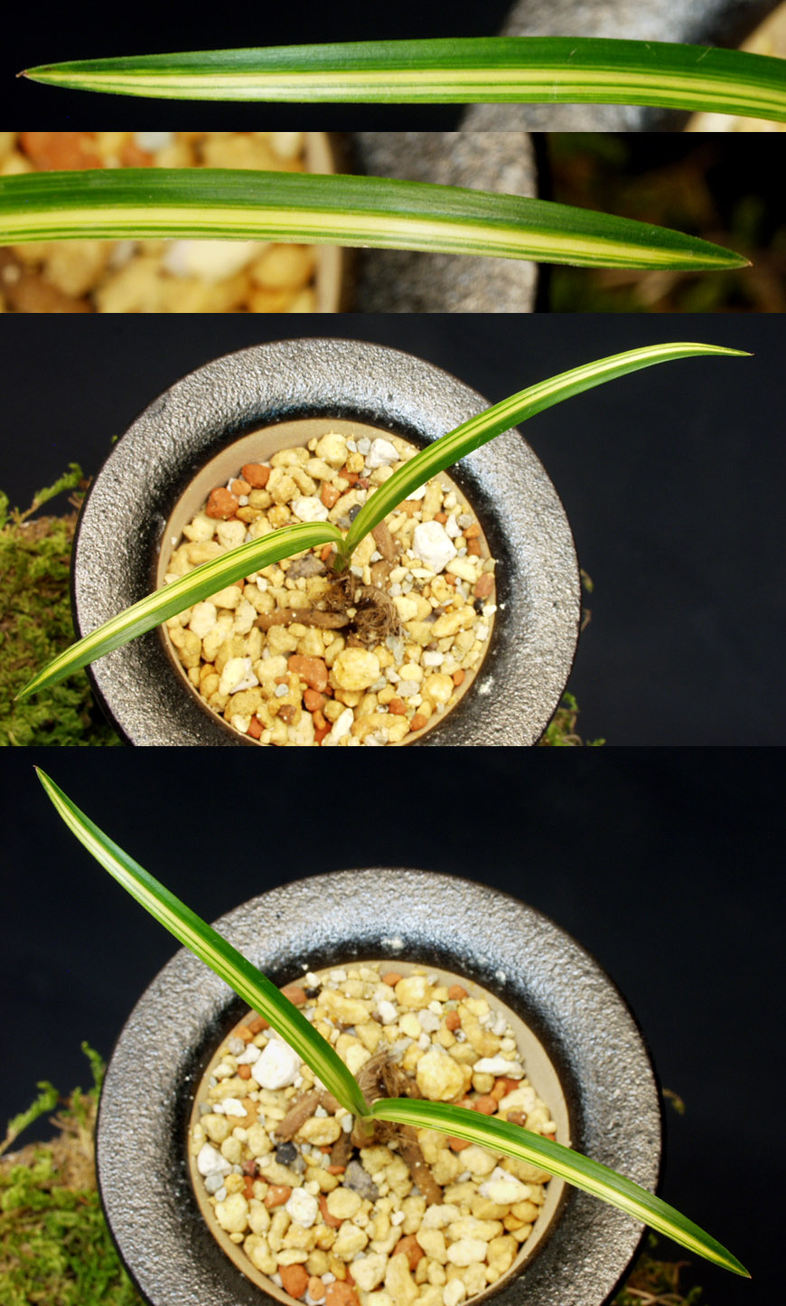 ������ ū������ �� �� �ֽ��ϴ�.