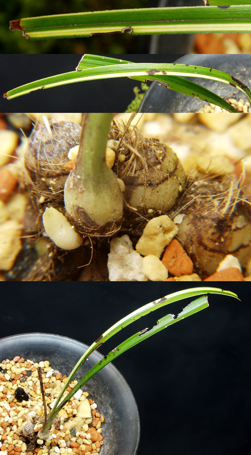 ������ ū������ �� �� �ֽ��ϴ�.