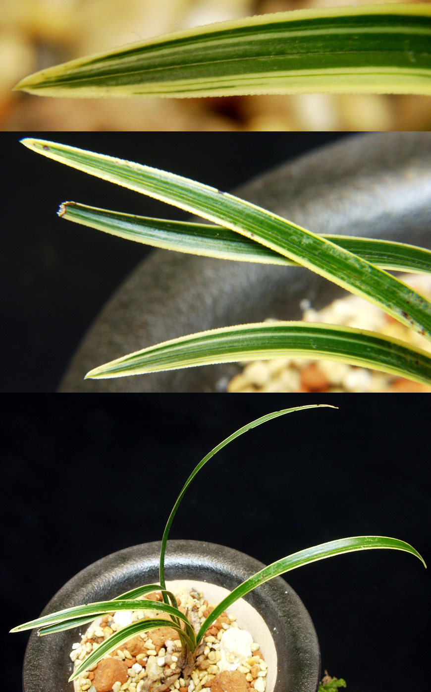 ������ ū������ �� �� �ֽ��ϴ�.