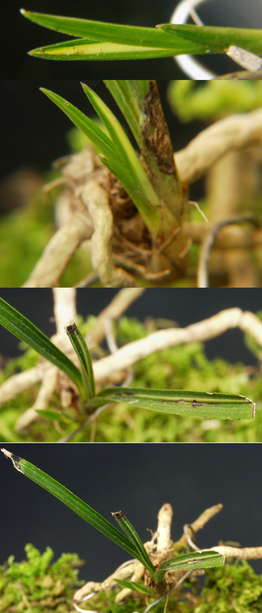 ������ ū������ �� �� �ֽ��ϴ�.