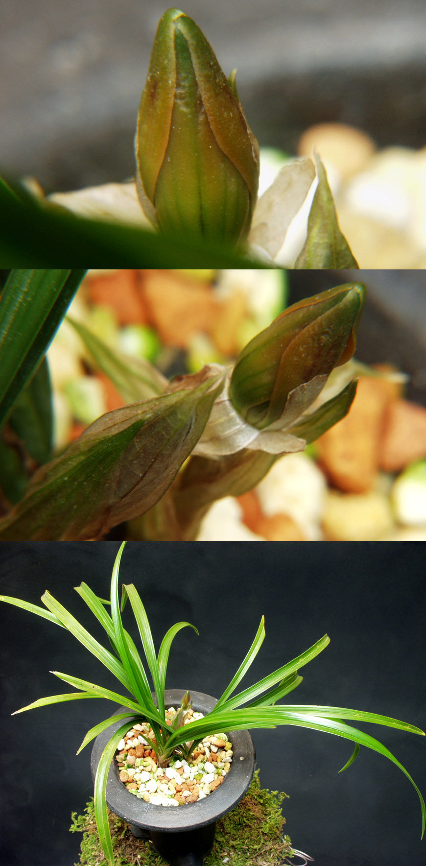 ������ ū������ �� �� �ֽ��ϴ�.