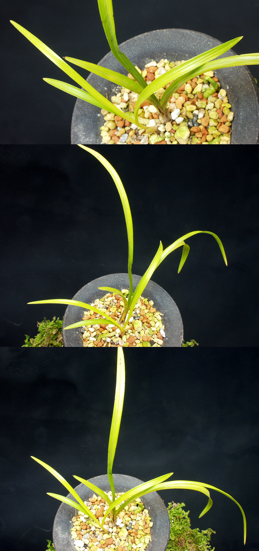 ������ ū������ �� �� �ֽ��ϴ�.