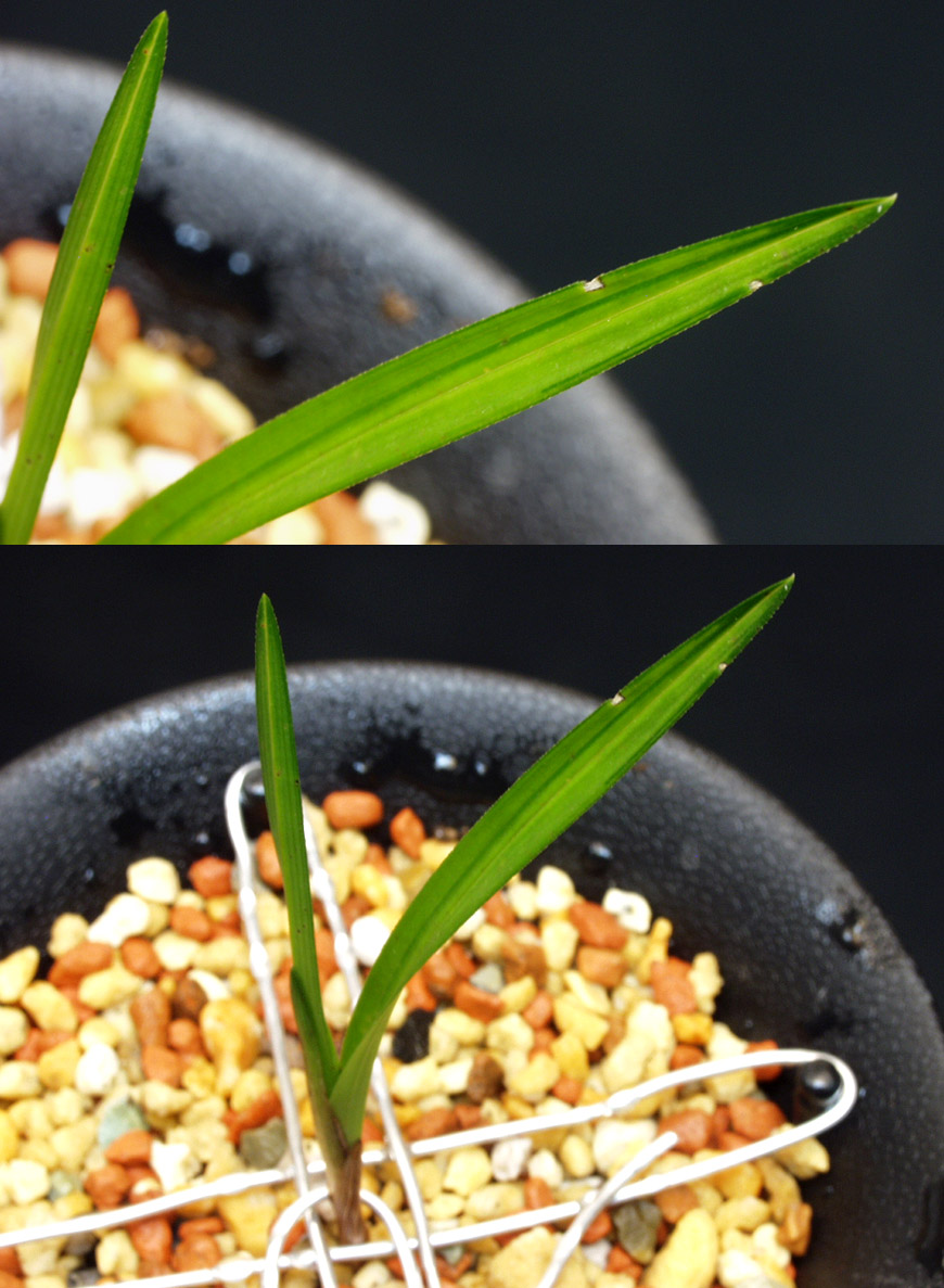 ������ ū������ �� �� �ֽ��ϴ�.