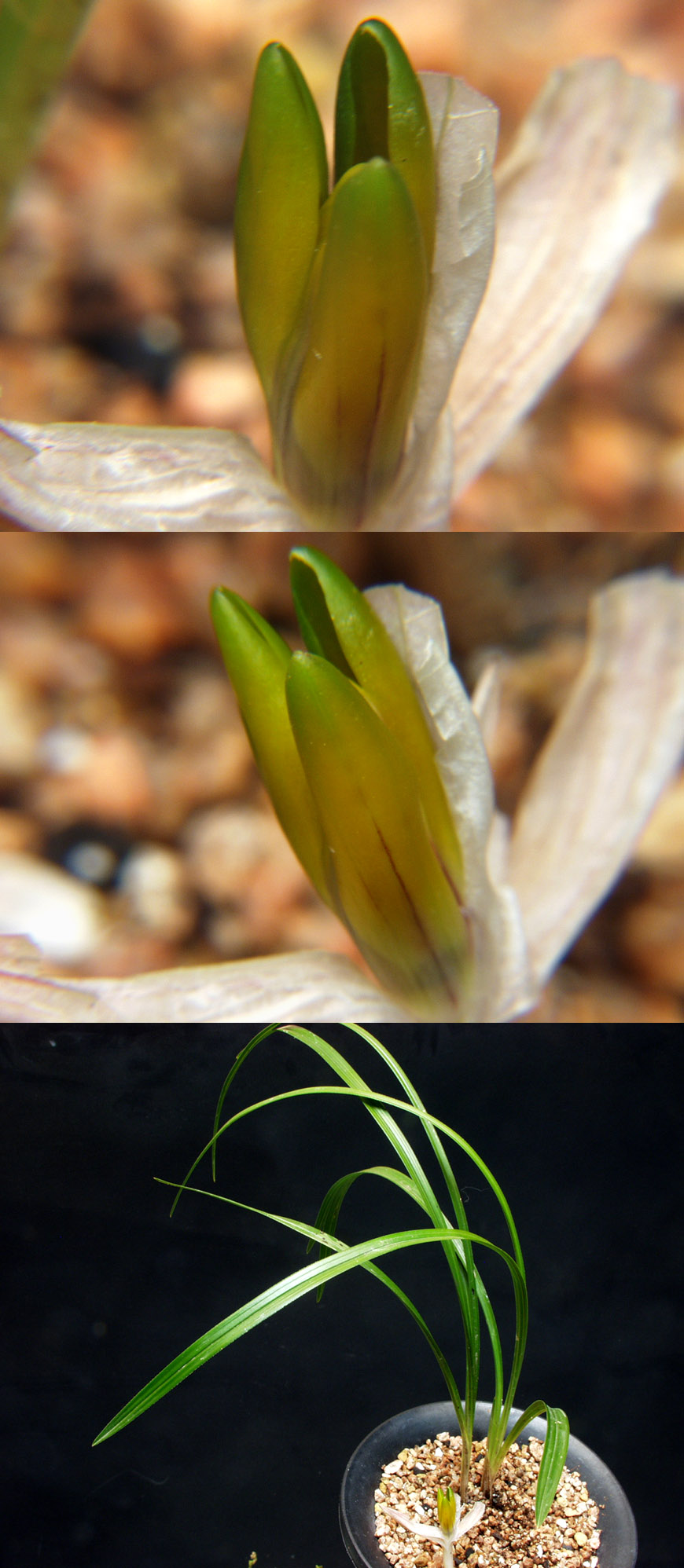 ������ ū������ �� �� �ֽ��ϴ�.