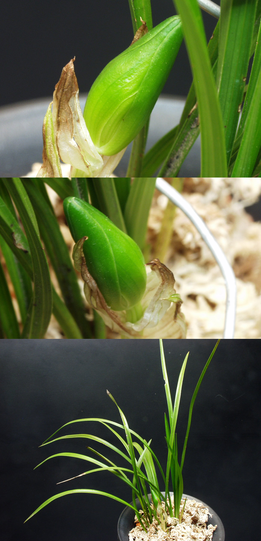 ������ ū������ �� �� �ֽ��ϴ�.