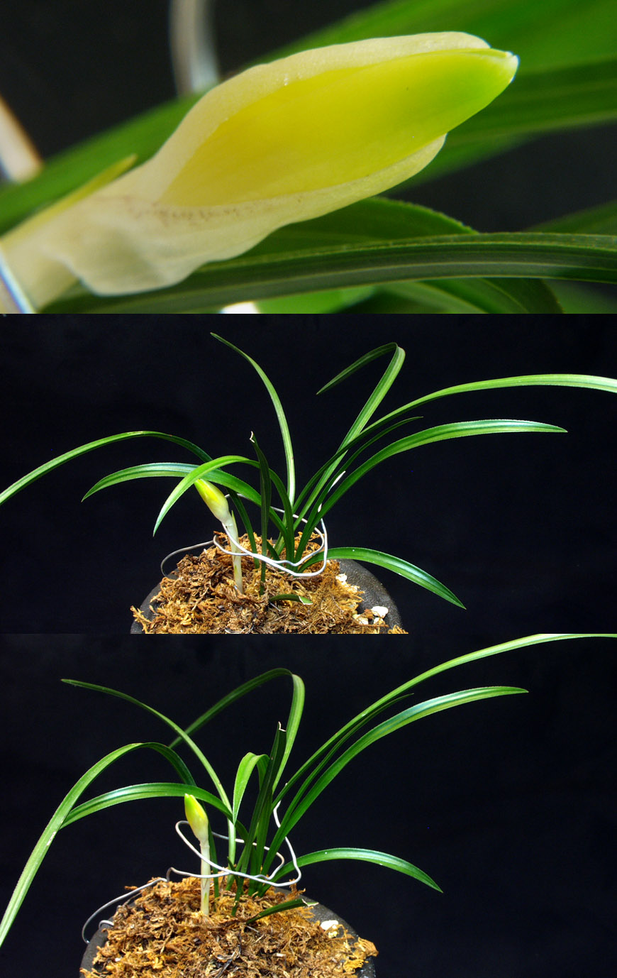 ������ ū������ �� �� �ֽ��ϴ�.