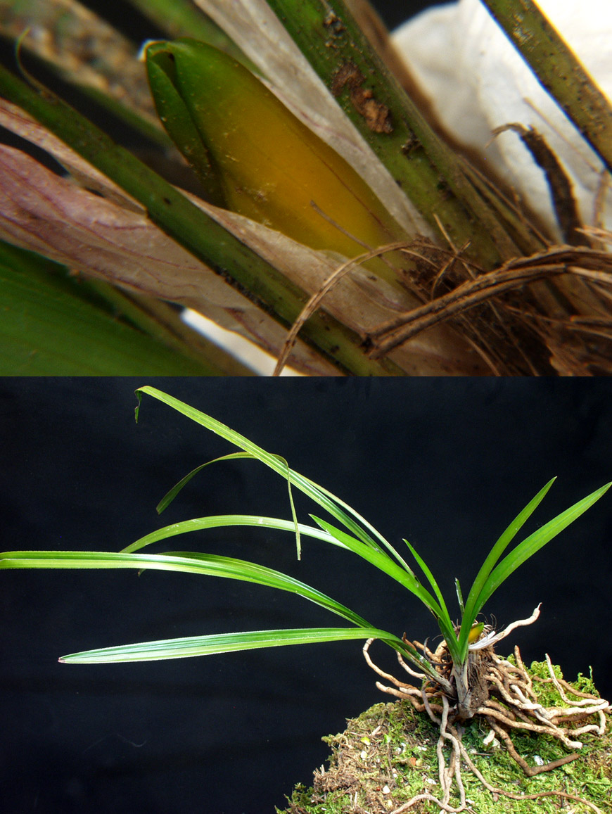 ������ ū������ �� �� �ֽ��ϴ�.