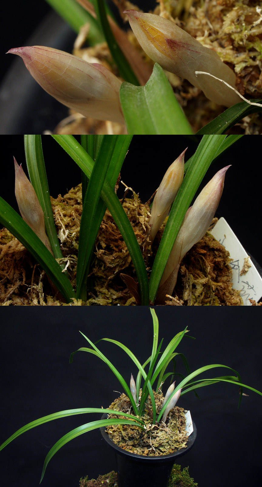 ������ ū������ �� �� �ֽ��ϴ�.