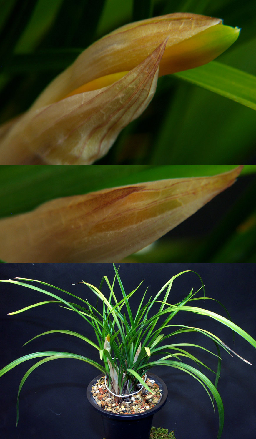 ������ ū������ �� �� �ֽ��ϴ�.