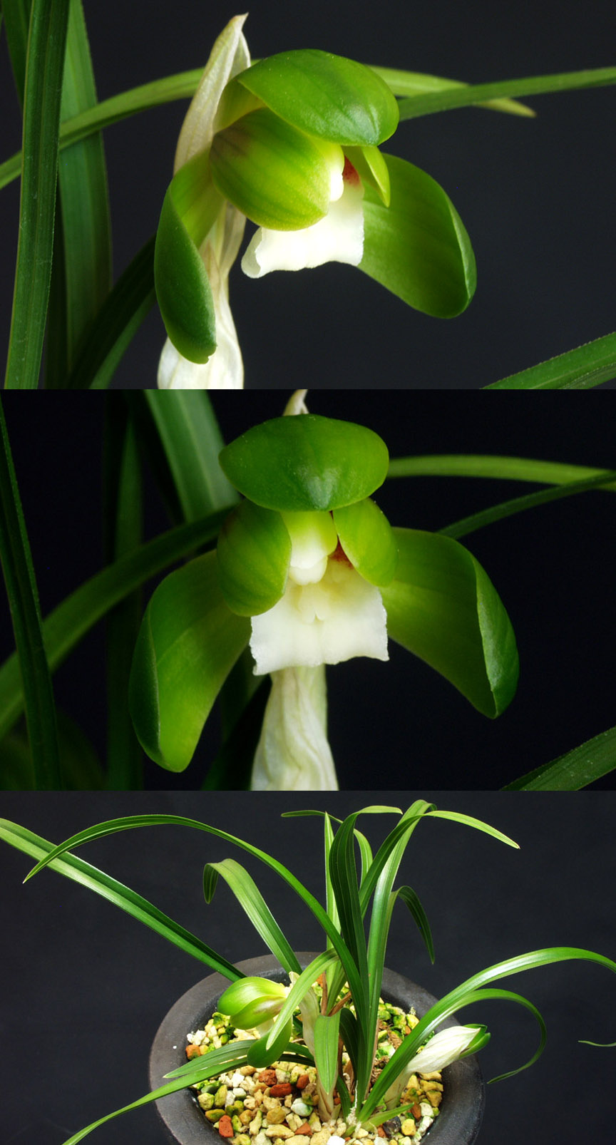 ������ ū������ �� �� �ֽ��ϴ�.