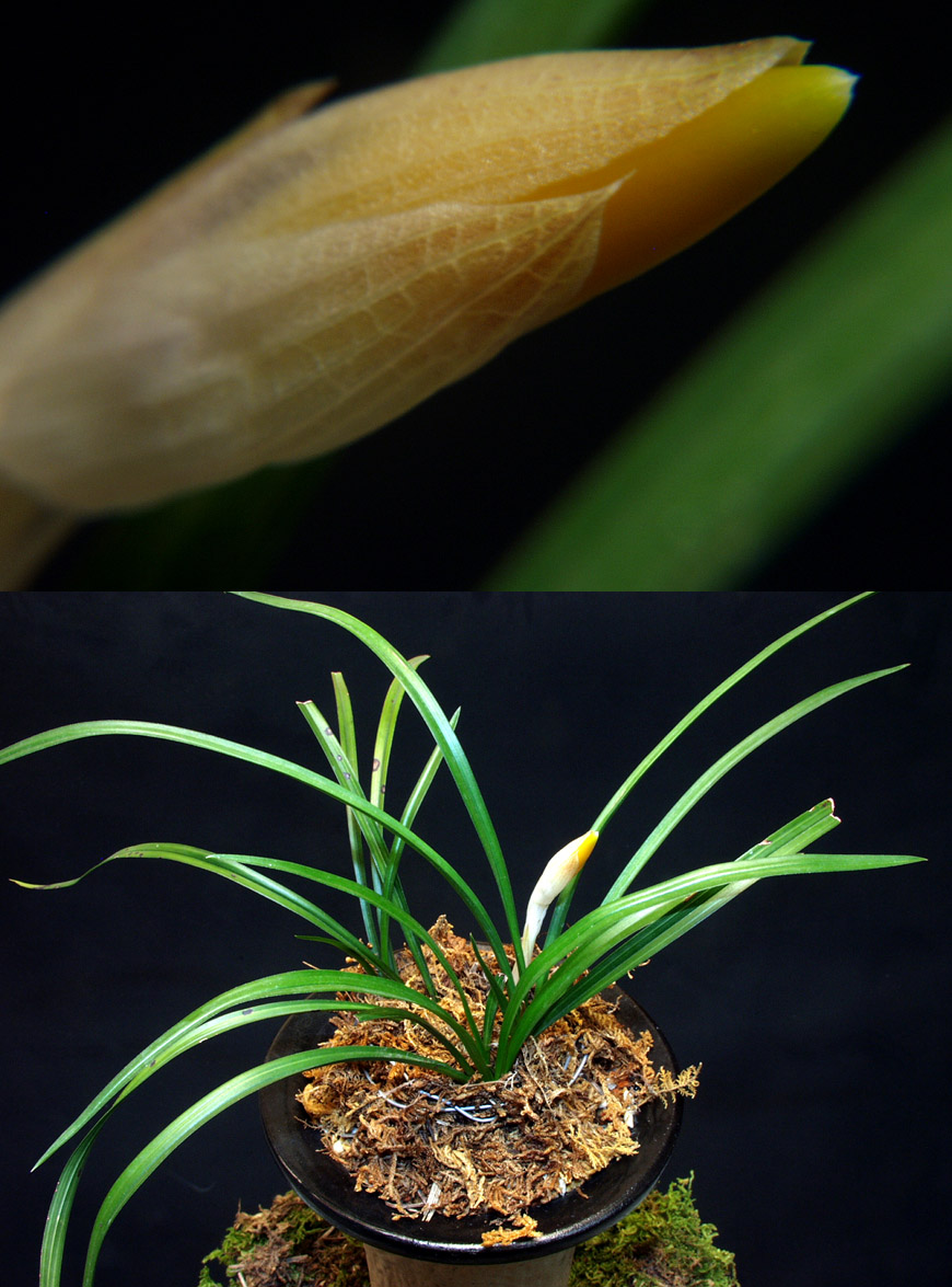 ������ ū������ �� �� �ֽ��ϴ�.