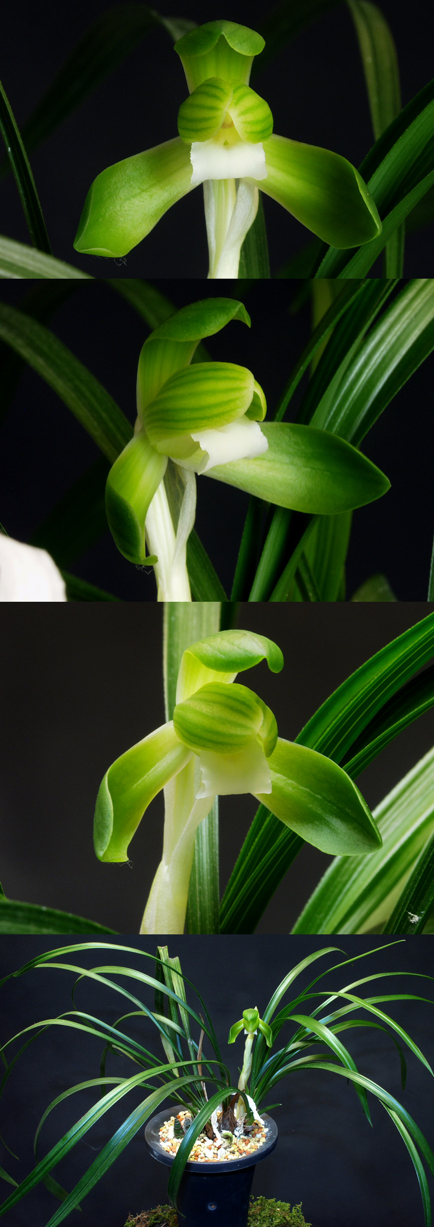 ������ ū������ �� �� �ֽ��ϴ�.