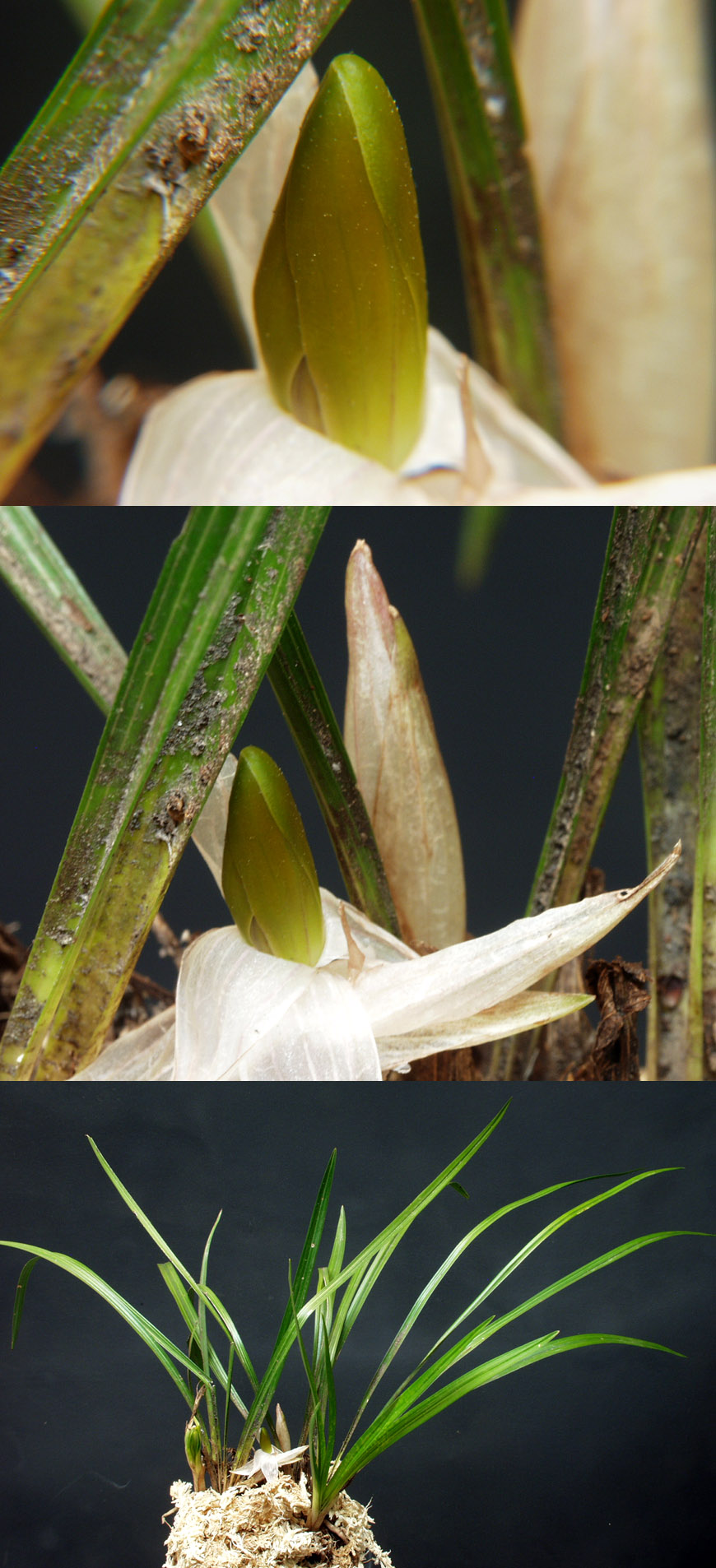 ������ ū������ �� �� �ֽ��ϴ�.