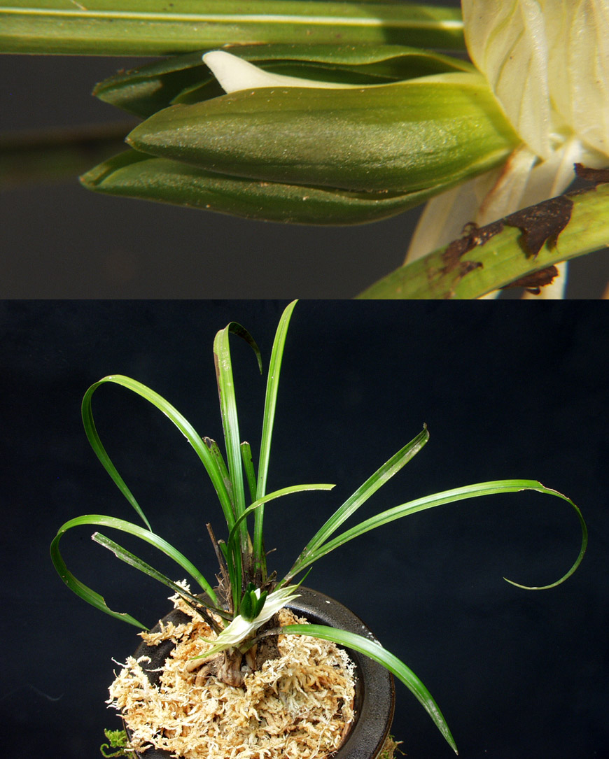 ������ ū������ �� �� �ֽ��ϴ�.