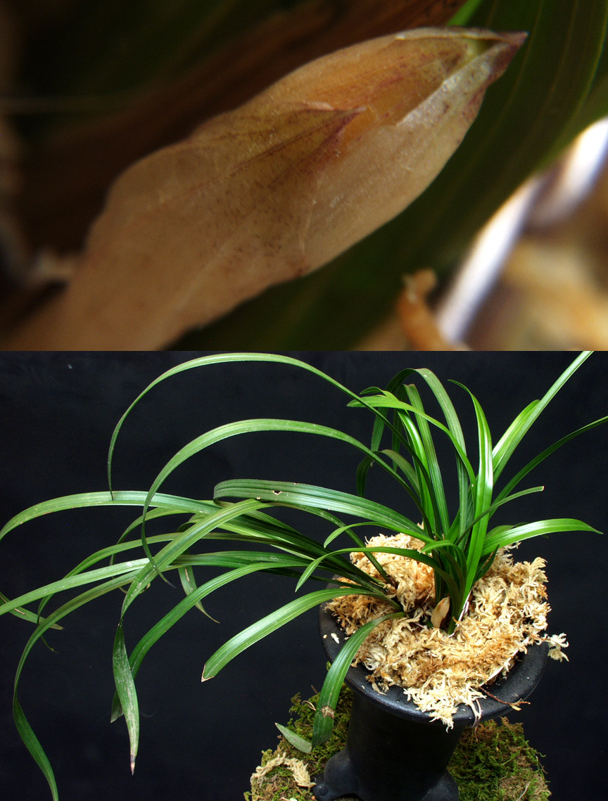 ������ ū������ �� �� �ֽ��ϴ�.