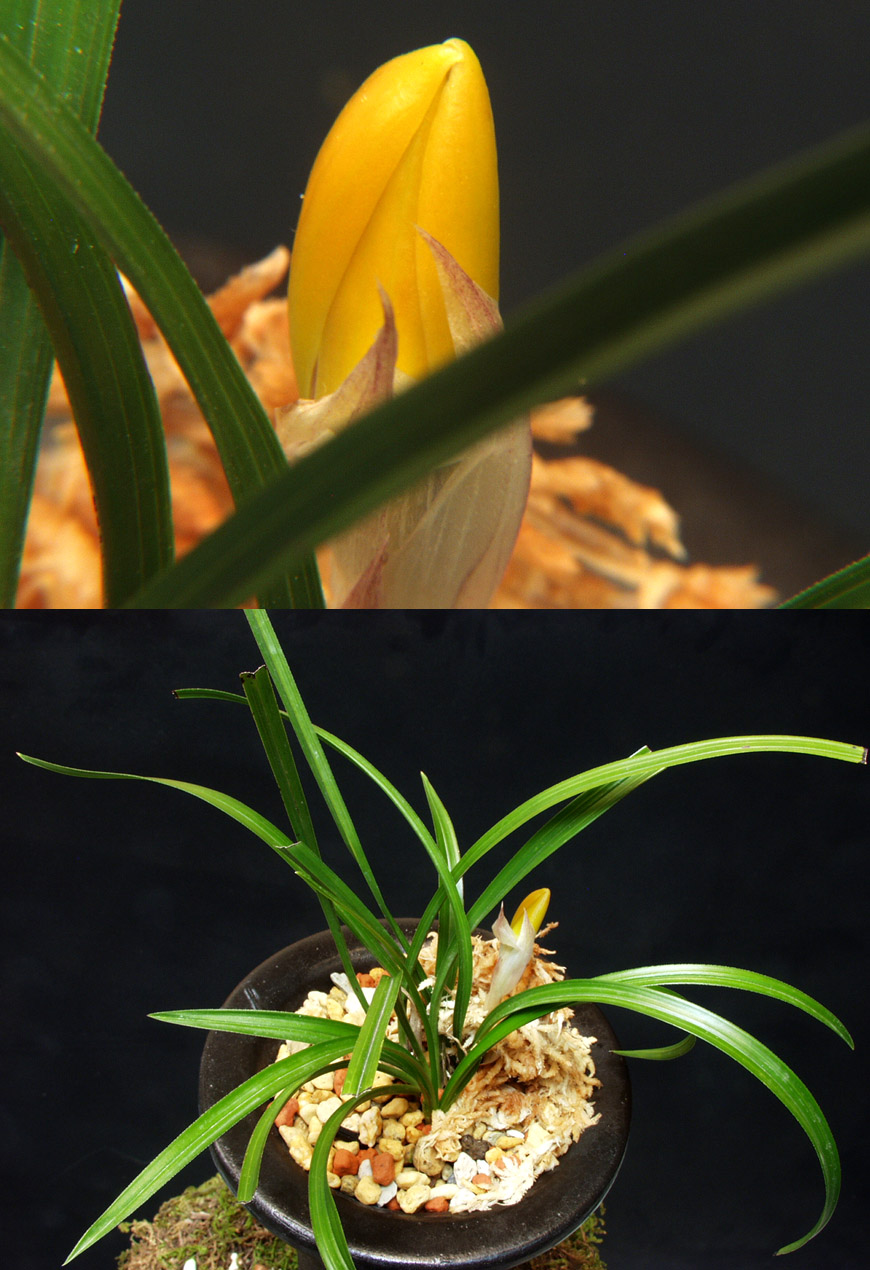 ������ ū������ �� �� �ֽ��ϴ�.