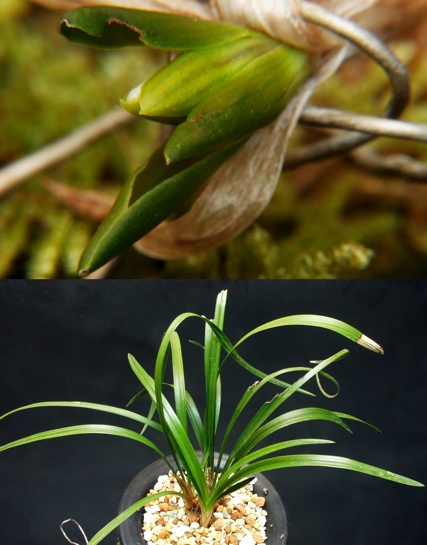 ������ ū������ �� �� �ֽ��ϴ�.