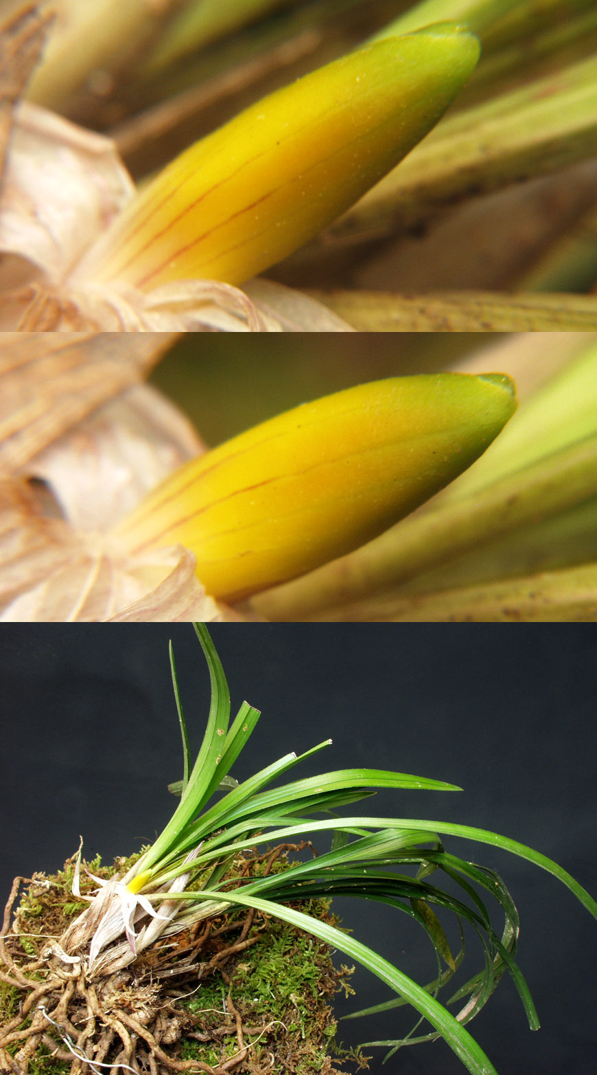 ������ ū������ �� �� �ֽ��ϴ�.