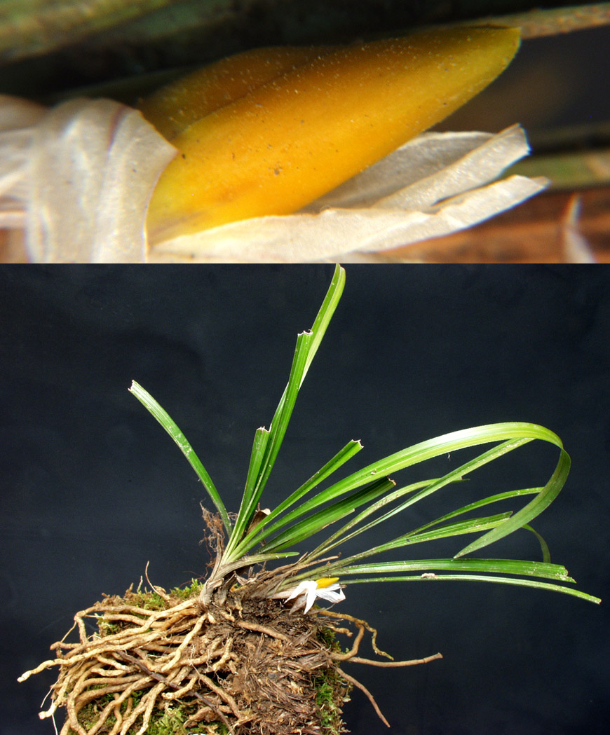 ������ ū������ �� �� �ֽ��ϴ�.