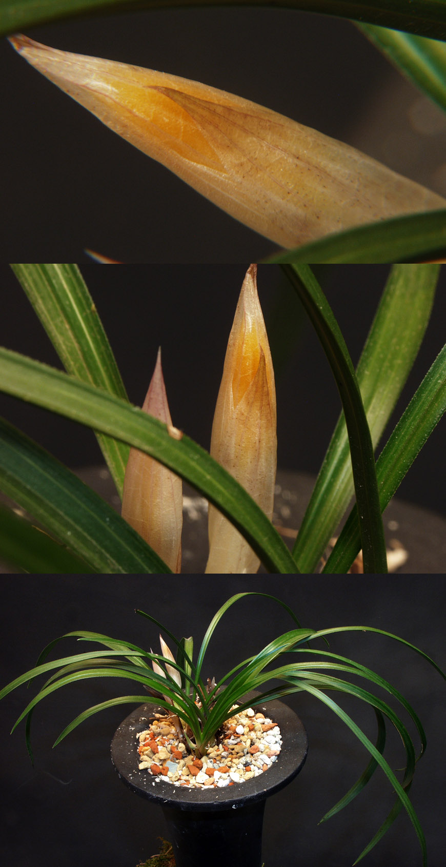 ������ ū������ �� �� �ֽ��ϴ�.