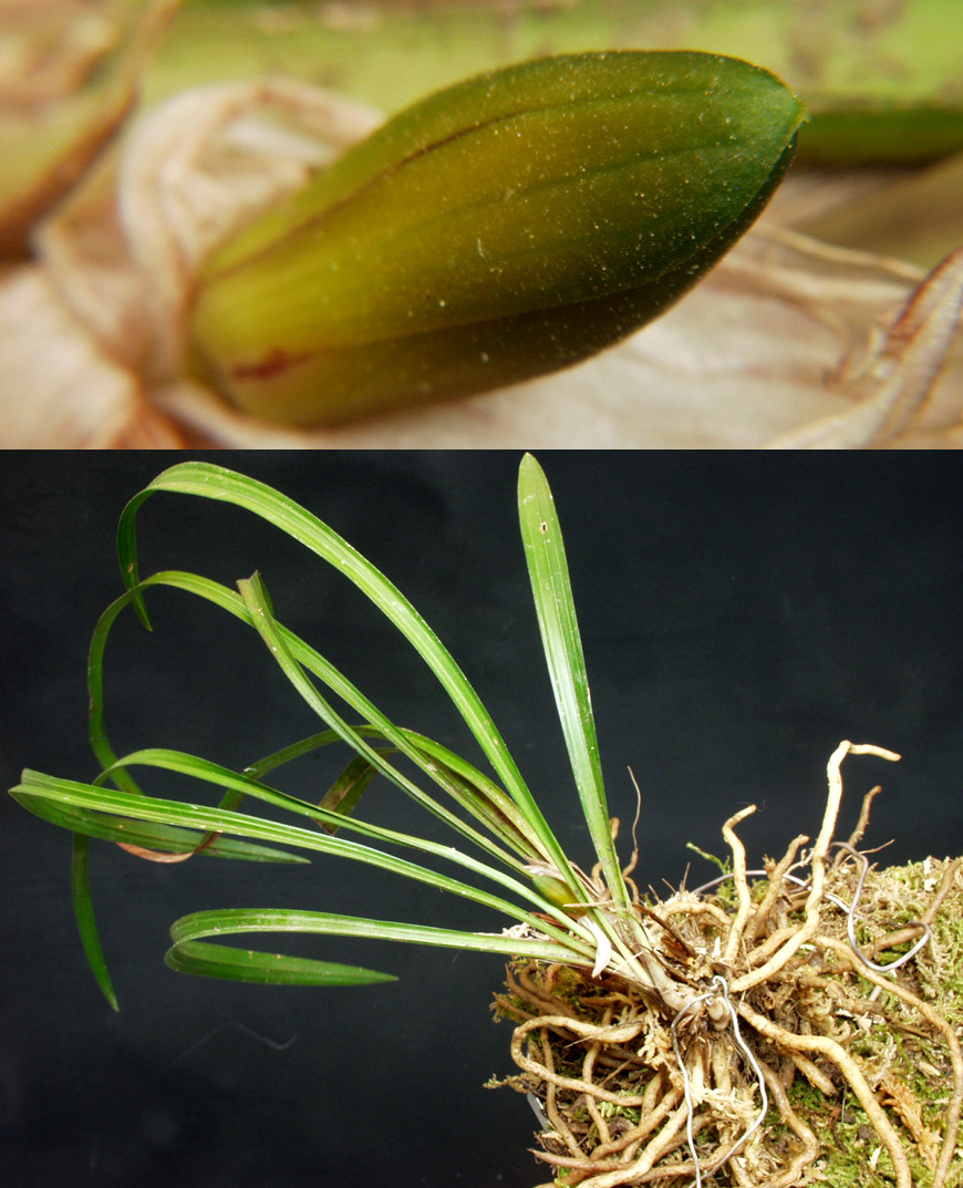 ������ ū������ �� �� �ֽ��ϴ�.