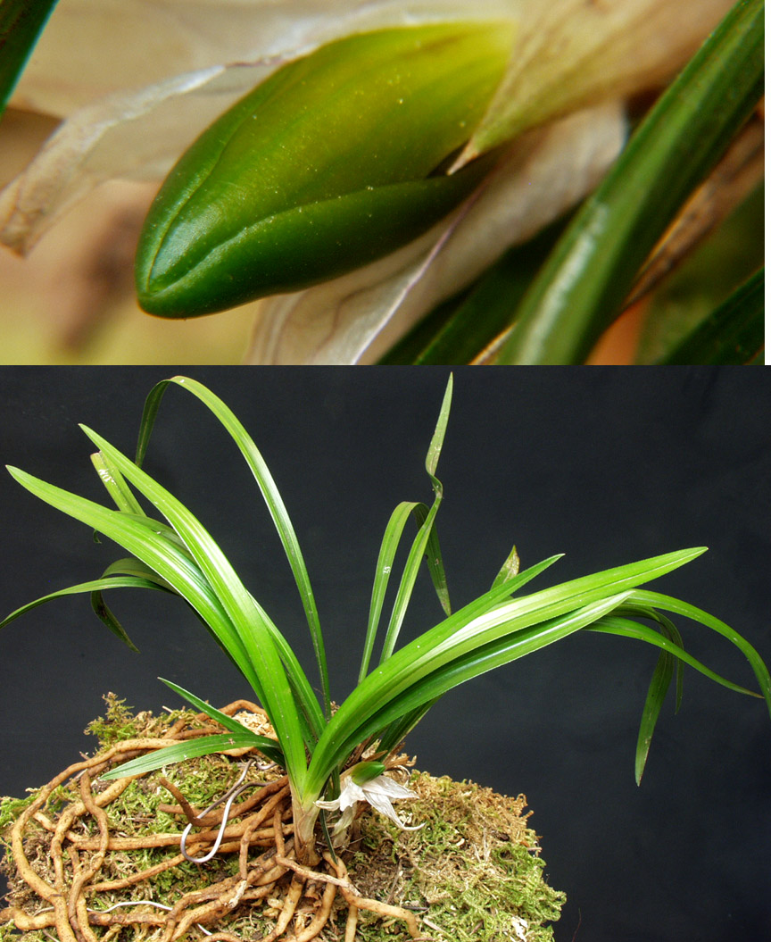 ������ ū������ �� �� �ֽ��ϴ�.