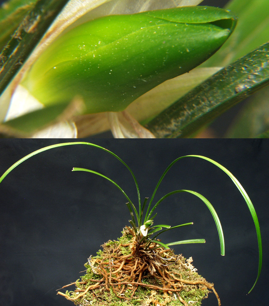 ������ ū������ �� �� �ֽ��ϴ�.