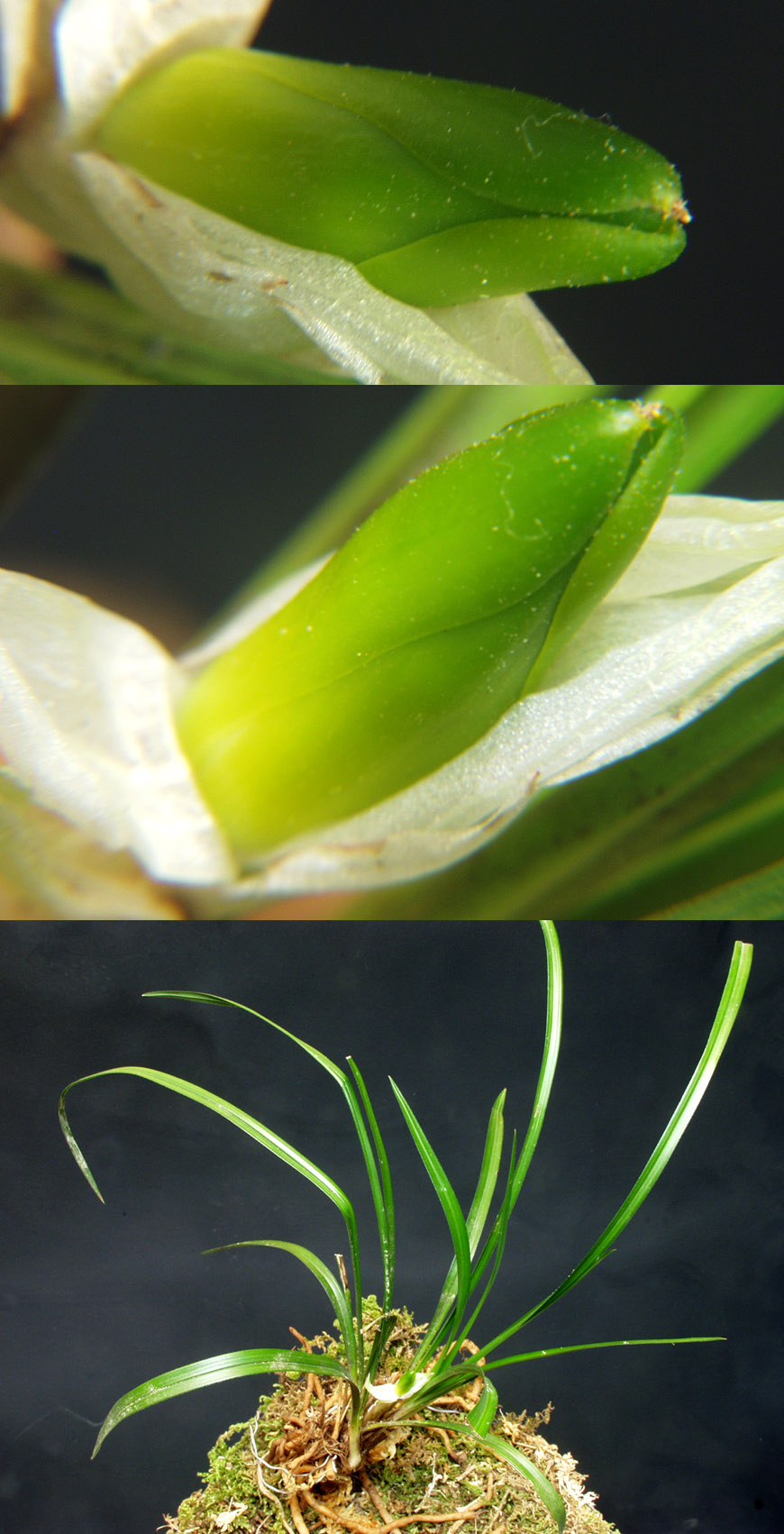 ������ ū������ �� �� �ֽ��ϴ�.