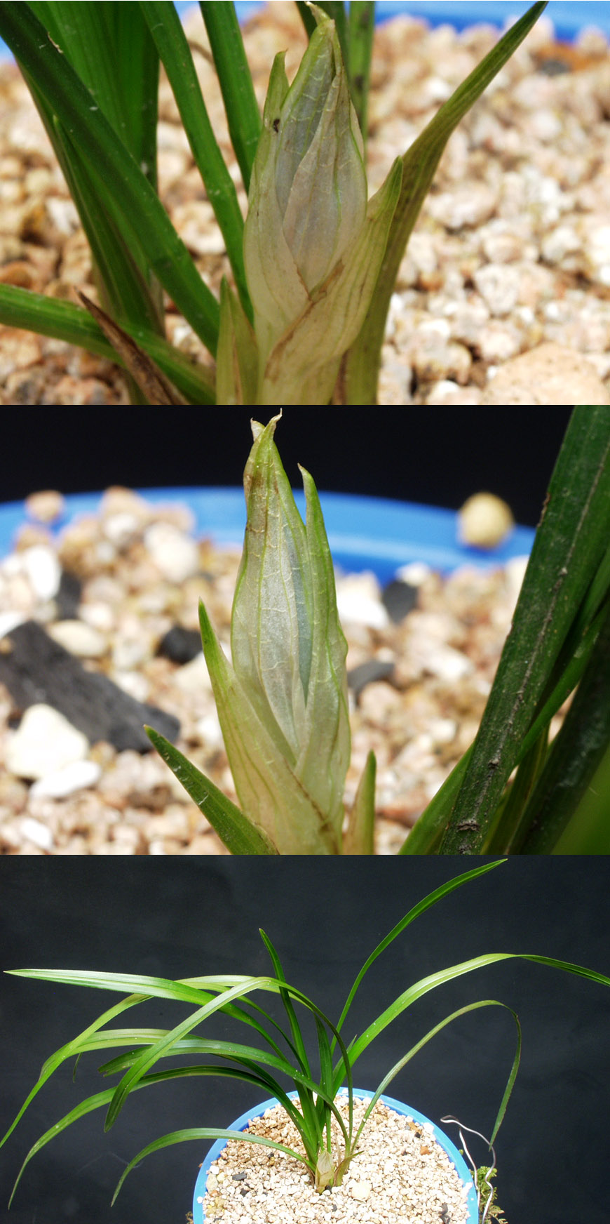 ������ ū������ �� �� �ֽ��ϴ�.