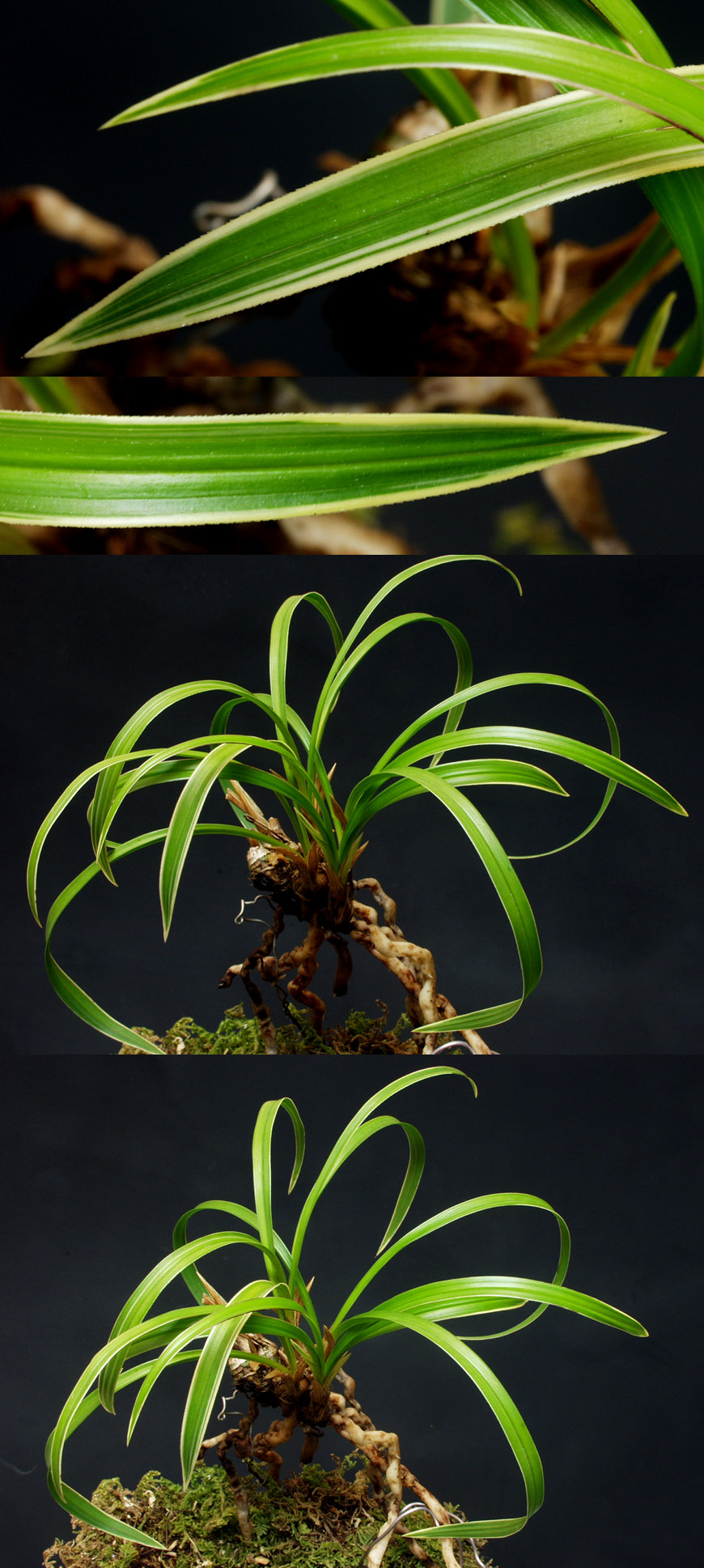 ������ ū������ �� �� �ֽ��ϴ�.