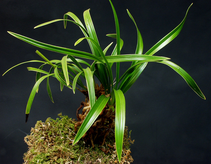 ������ ū������ �� �� �ֽ��ϴ�.