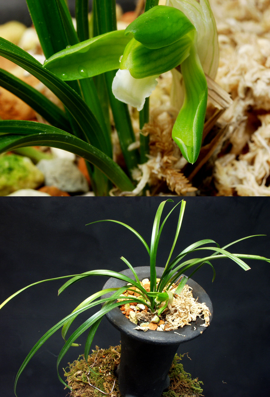 ������ ū������ �� �� �ֽ��ϴ�.