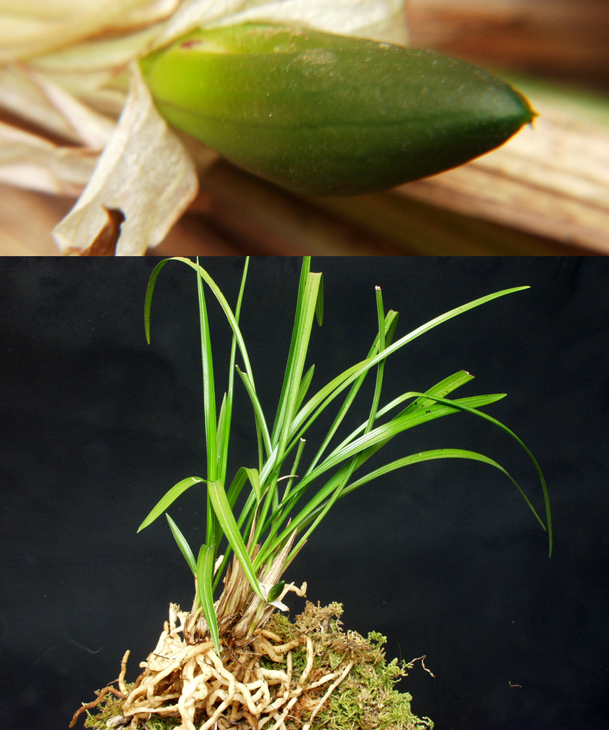 ������ ū������ �� �� �ֽ��ϴ�.