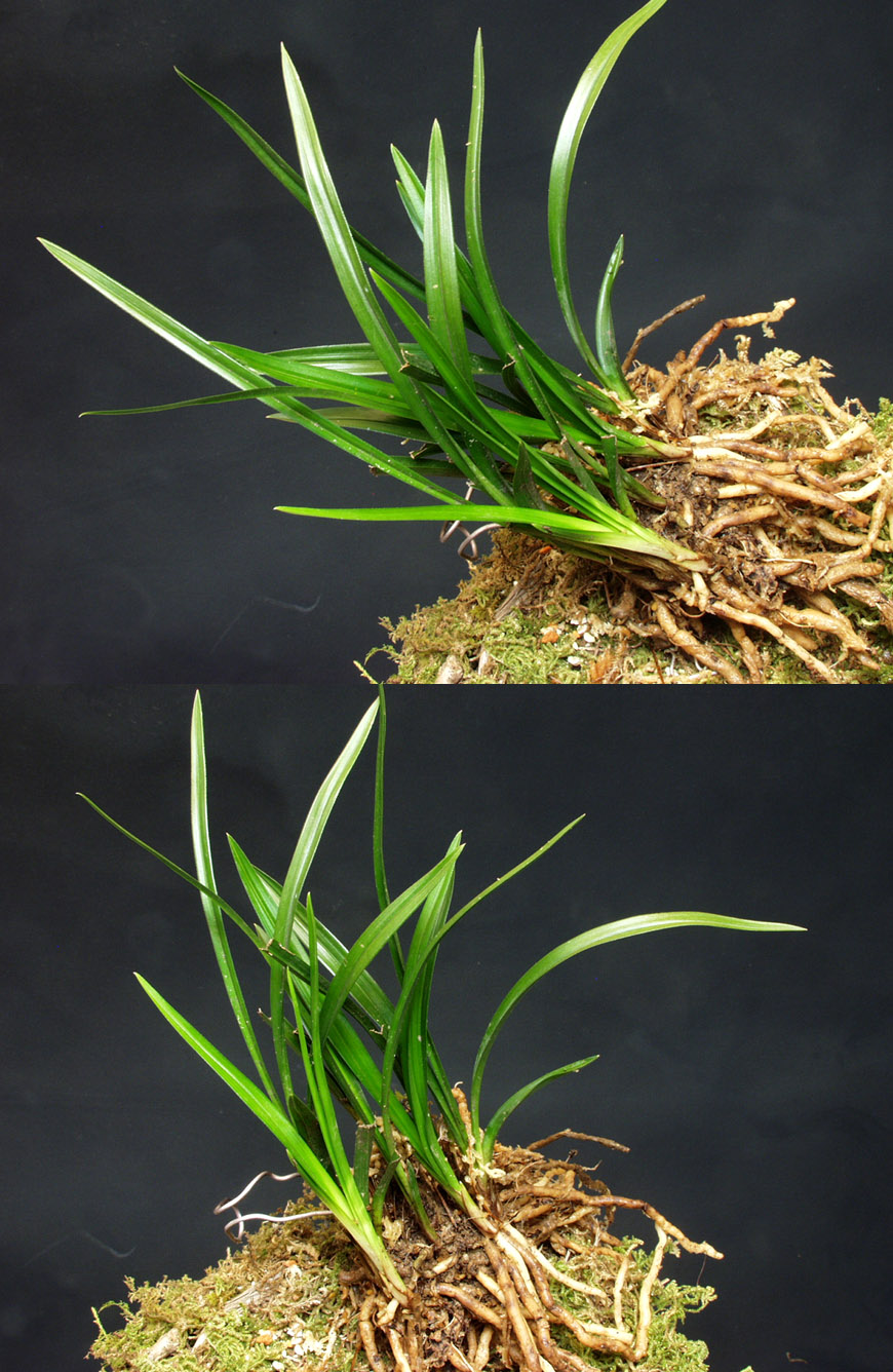 ������ ū������ �� �� �ֽ��ϴ�.