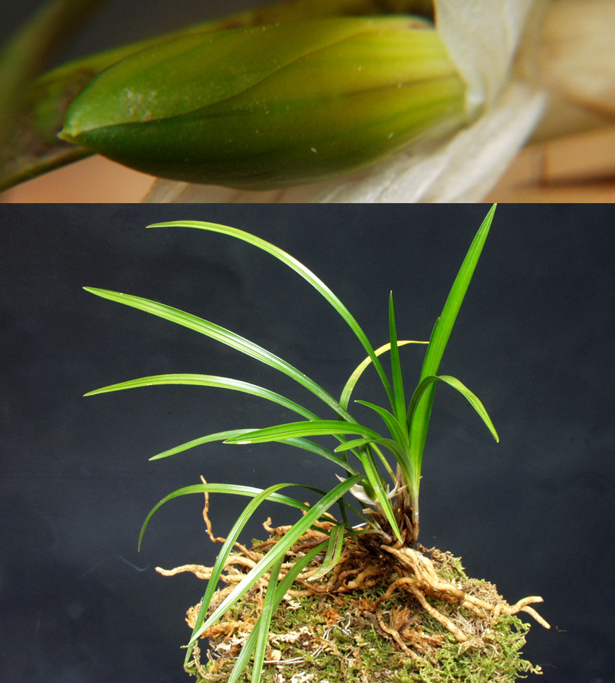 ������ ū������ �� �� �ֽ��ϴ�.