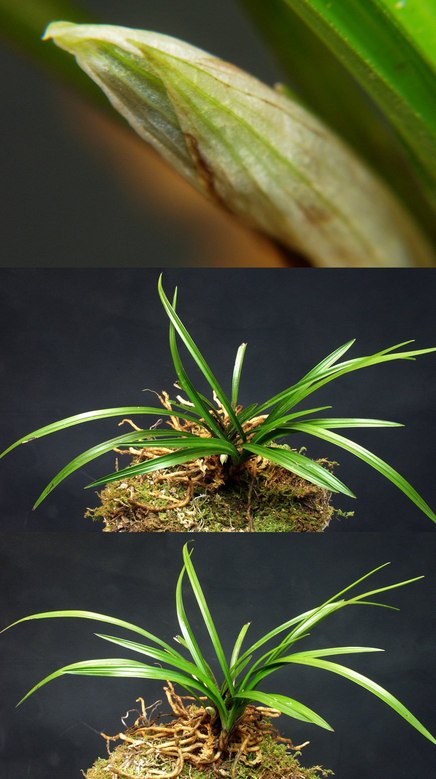 ������ ū������ �� �� �ֽ��ϴ�.