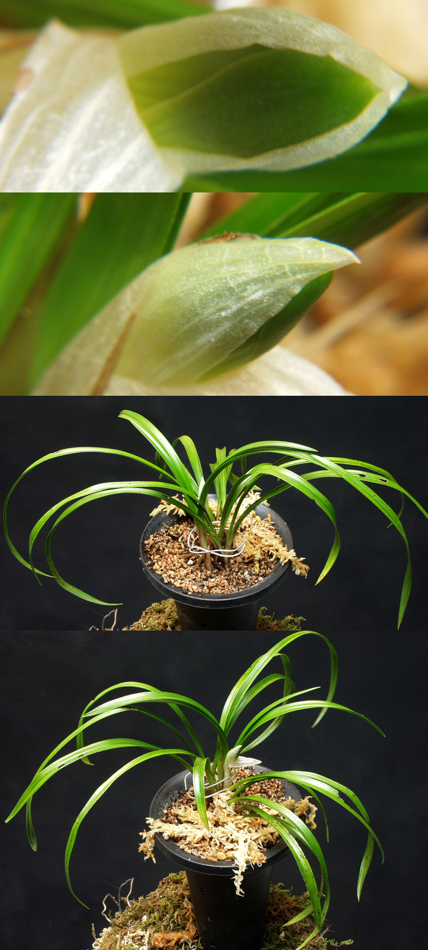 ������ ū������ �� �� �ֽ��ϴ�.