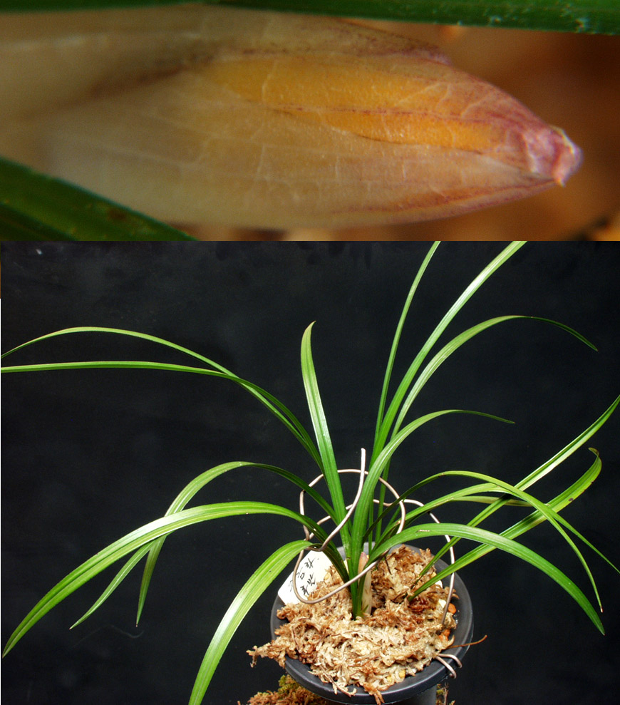 ������ ū������ �� �� �ֽ��ϴ�.