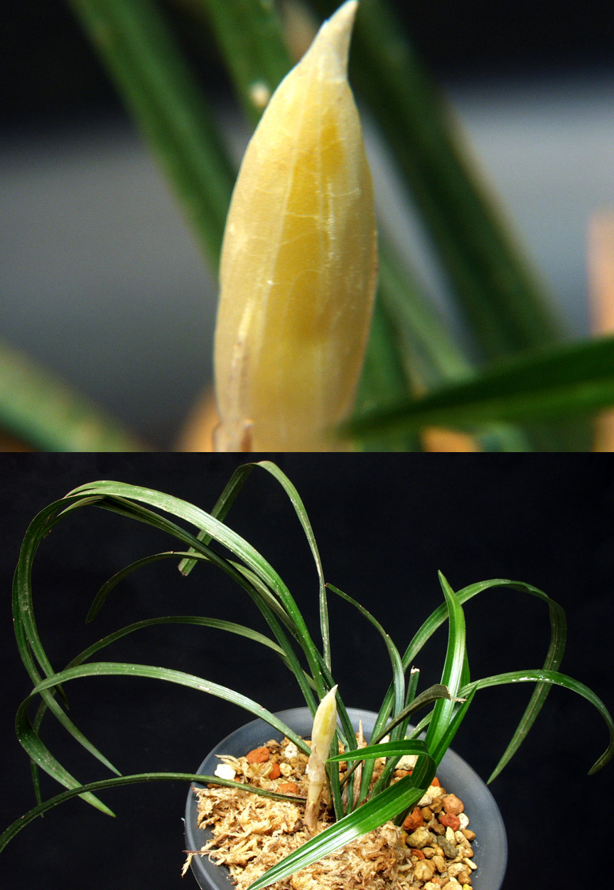 ������ ū������ �� �� �ֽ��ϴ�.