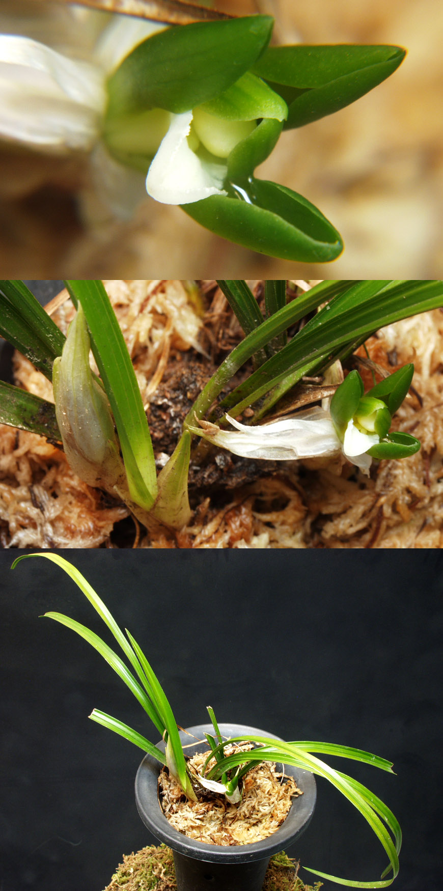 ������ ū������ �� �� �ֽ��ϴ�.